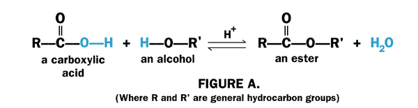 chemical reaction forming an ester